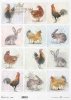 Pastele, tagi, małe obrazki, kogut, kura, kurczaki, króliki, zające, wokół farmy*Pastels, tags, small pictures, cock, chicken, chicken, rabbit, hare, around the farm